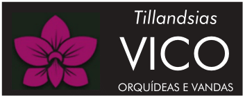 Vico Orquídeas